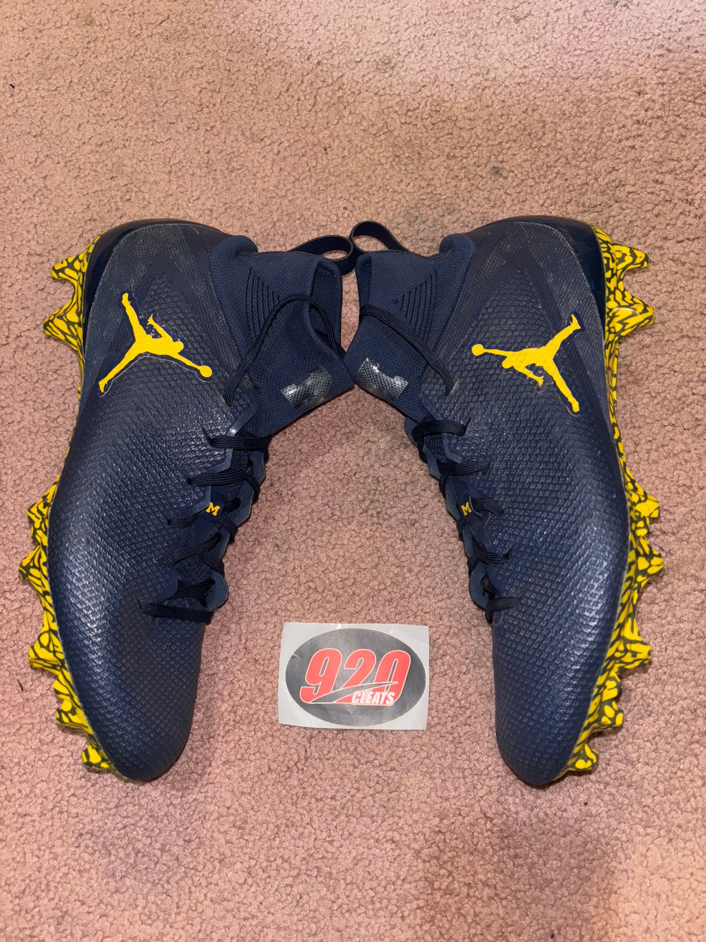 Michigan PE Vapor Untouchable Pro 3