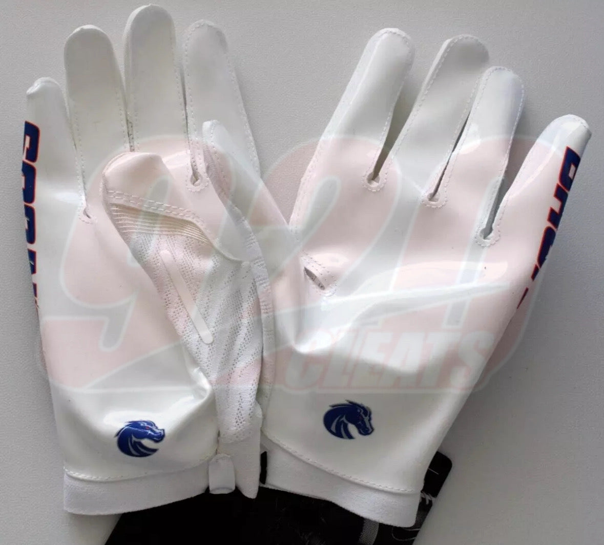 Boise State Gloves